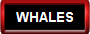 Whales