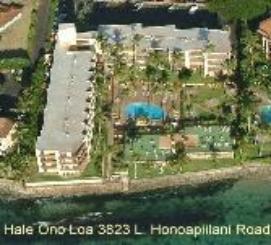 Arial view