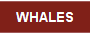 Whales